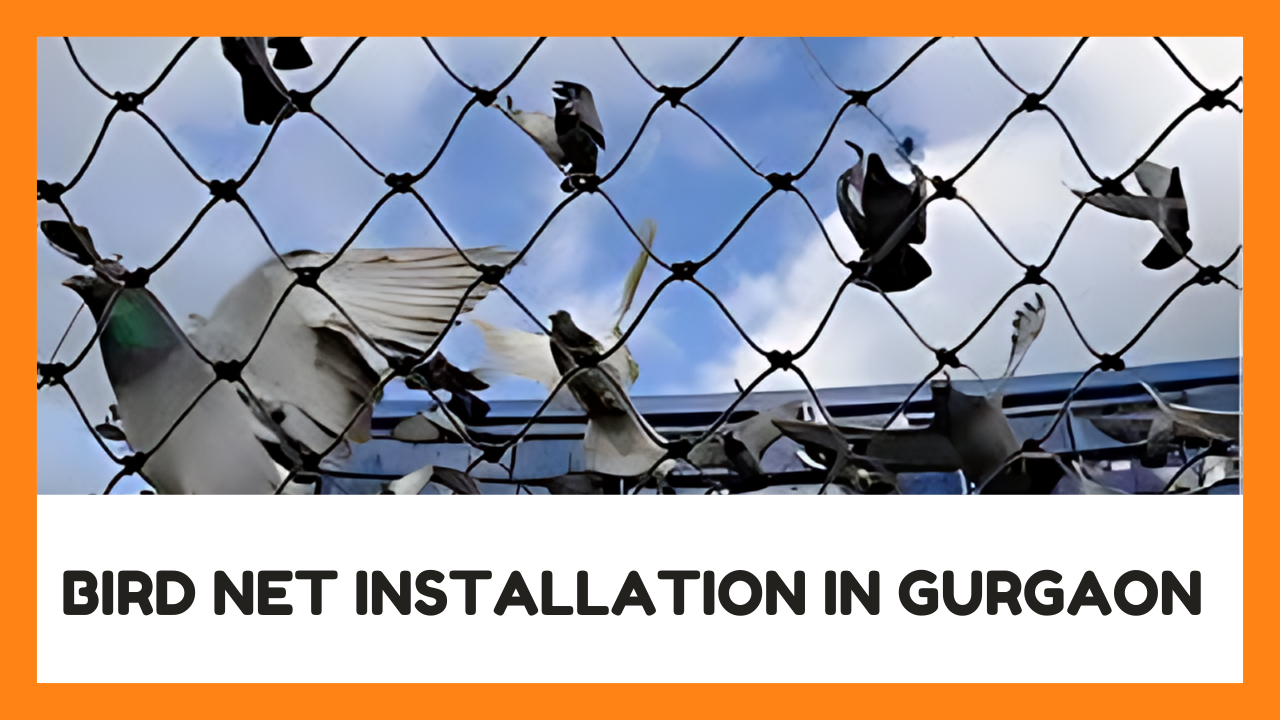 bird net installation in gurgaon