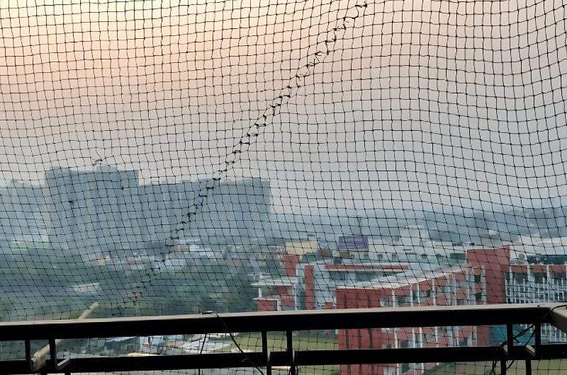 Pigeon Net In Gurgaon