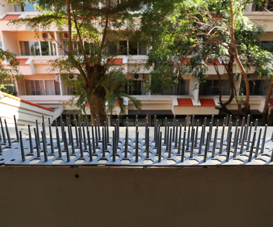 bird spikes for pigeons in gurgaon